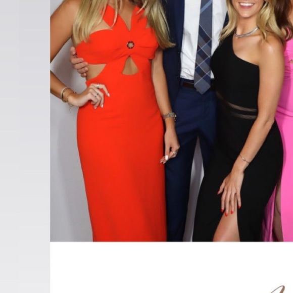 Ronny Kobo Flower Cut Dress - Picture 5 of 5